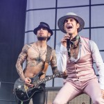 Dave Navarro, Perry Farrell