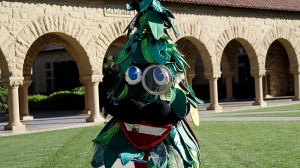 In this Wednesday, Oct. 19, 2016 photo, Stanford University student Sam Weyen, who portrays the Stanford Tree, the school's mascot, poses for a portrait on the university's campus in Stanford, Calif. (AP Photo/Marcio Jose Sanchez)