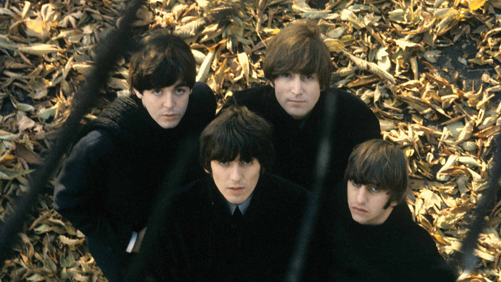 The Beatles Group Picture