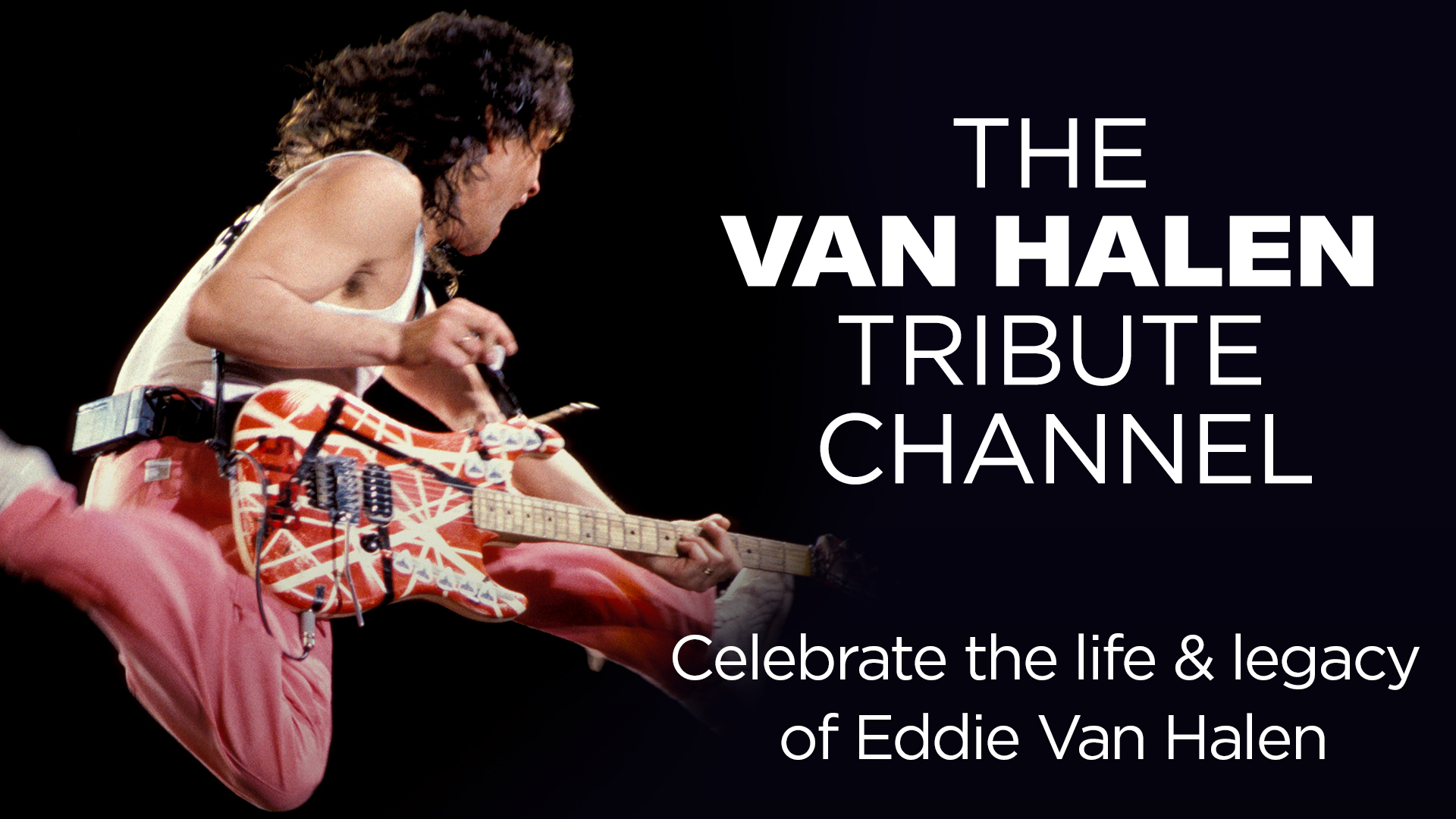 Pop! Eddie Van Halen with Guitar
