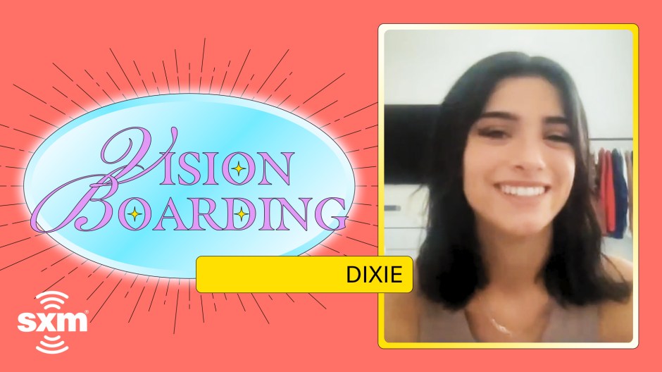 Dixie D'Amelio Vision Boarding