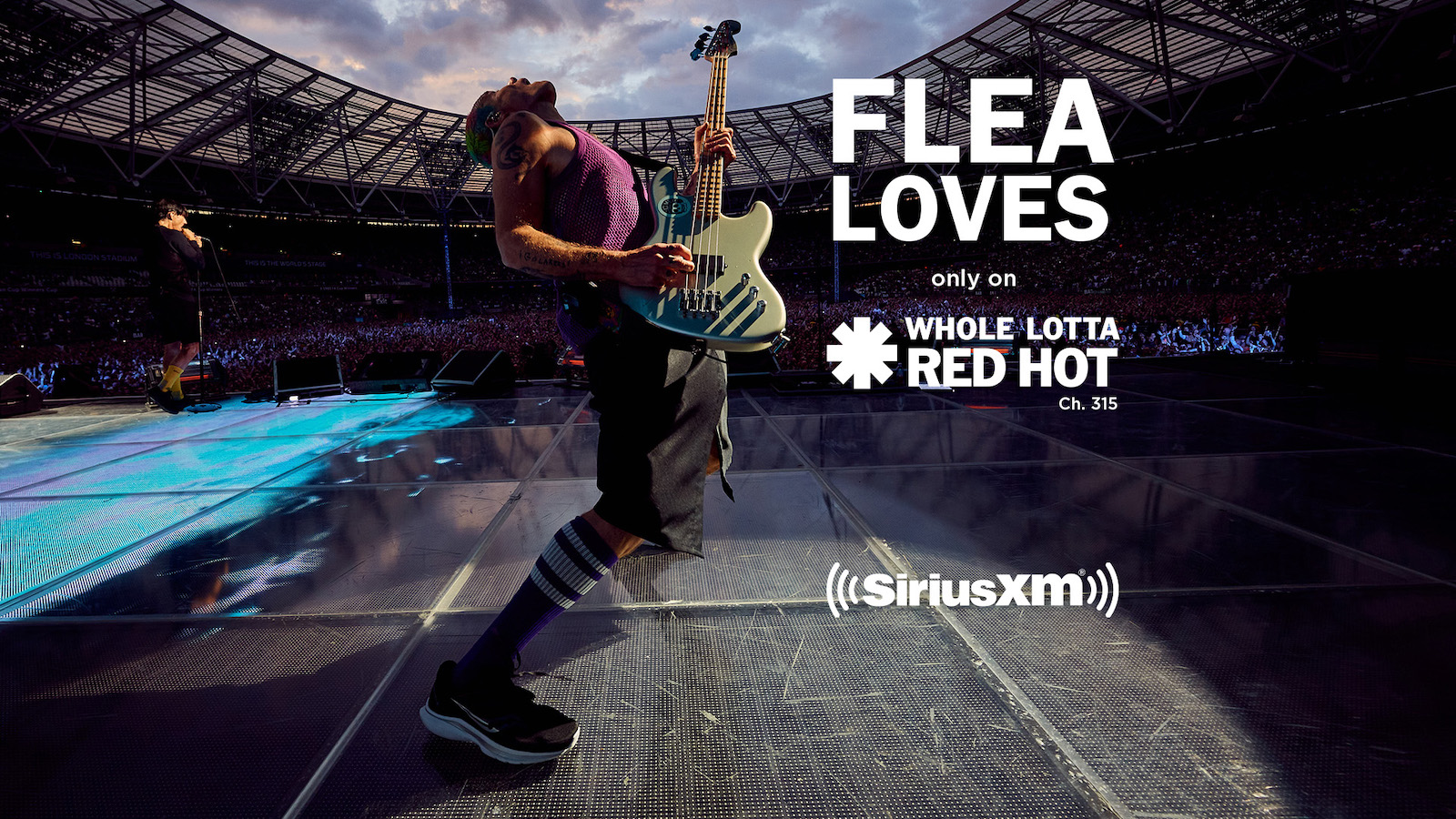 Flea Loves - Whole Lotta Red Hot
