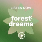 Listen Now Forest Dreams SiriusXM